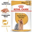Royal Canin Yorkshire Terrier Adult Mousse 12x85 g