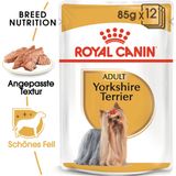 Pasja hrana Yorkshire Terrier Adult Mousse, 12 x 85 g
