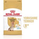 Royal Canin Yorkshire Terrier Adult  8+