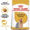Royal Canin Pasja hrana Yorkshire Terrier Adult