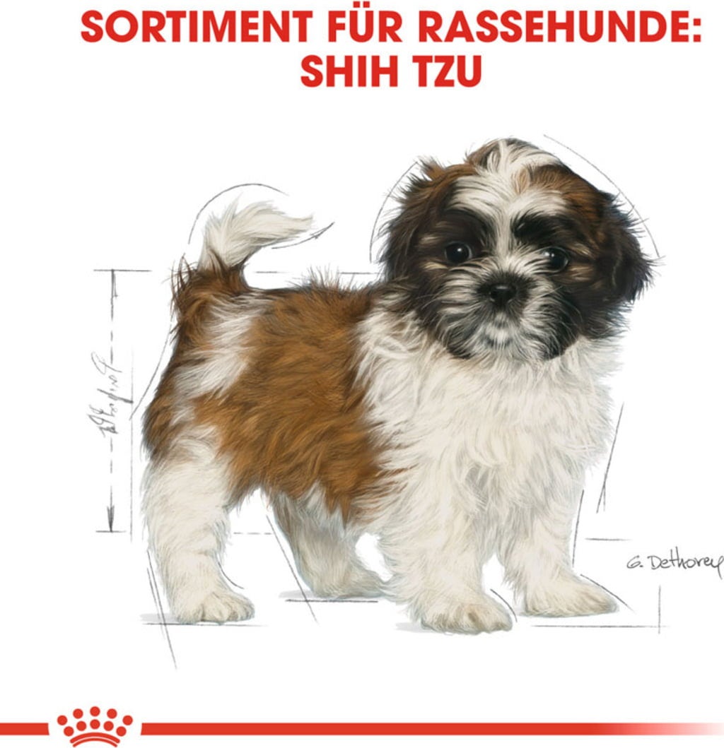Royal Canin Shih Tzu Puppy - 1,50 kg