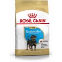 ROYAL CANIN Rottweiler Puppy - 12 kg