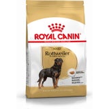 ROYAL CANIN Rottweiler Adult