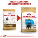 Royal Canin Pasja hrana Rottweiler Puppy - 12 kg
