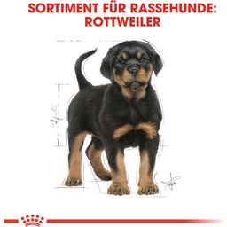 ROYAL CANIN Rottweiler Puppy - 12 kg