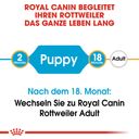 Royal Canin Rottweiler Puppy - 12 kg