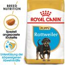 ROYAL CANIN Rottweiler Puppy - 12 kg