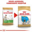 ROYAL CANIN Carlino Puppy - 1,50 kg