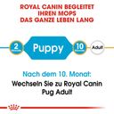 Royal Canin Pug Puppy - 1,50 kg