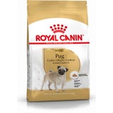 ROYAL CANIN Carlino Adult