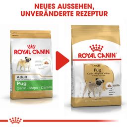 Royal Canin Pug Adult - 1,5 kg