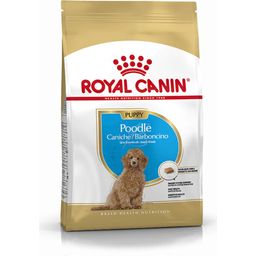 Royal Canin Poodle Puppy - 3 kg