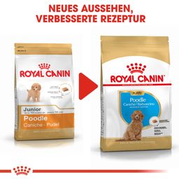 Royal Canin Pasja hrana Poodle Puppy - 3 kg