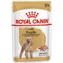Royal Canin Poodle Adult Mousse 12x85 g - 1.020 g