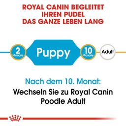 ROYAL CANIN Barboncino Puppy - 3 kg