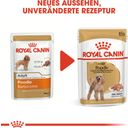 ROYAL CANIN Barboncino Adult Mousse 12x85 g - 1.020 g