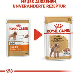 Royal Canin Poodle Adult Mousse 12x85 g - 1.020 g