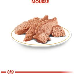 Pasja hrana Poodle Adult Mousse, 12 x 85 g - 1.020 g