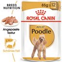 Royal Canin Poodle Adult Mousse 12x85 g