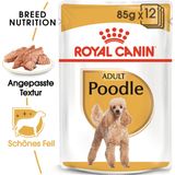 Royal Canin Poodle Adult Mousse 12x85 g