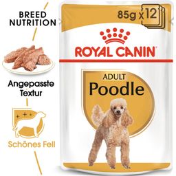 ROYAL CANIN Barboncino Adult Mousse 12x85 g - 1.020 g