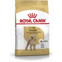 Royal Canin Poodle Adult - 3 kg