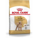 ROYAL CANIN Barboncino Adult