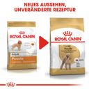 Royal Canin Poodle Adult - 3 kg