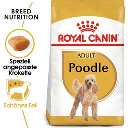 Royal Canin Pasja hrana Poodle Adult - 3 kg
