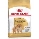 Royal Canin Pasja hrana Pomeranian Adult - 3 kg