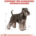 Royal Canin Miniature Schnauzer Adult - 3 kg