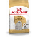ROYAL CANIN Maltese Adult