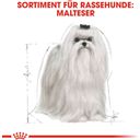 Royal Canin Maltese Adult - 1,5 kg