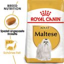 Royal Canin Maltese Adult - 1,5 kg