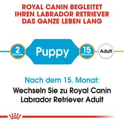 Royal Canin Pasja hrana Labrador Retriever Puppy - 3 kg