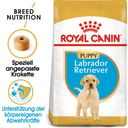 Royal Canin Labrador Retriever Puppy - 3 kg