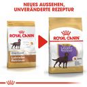 Royal Canin Labrador Retriever Adult Sterilised - 12 kg