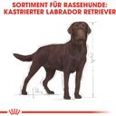 ROYAL CANIN Labrador Adult Sterilised 12 kg - 12 kg