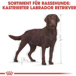 Royal Canin Labrador Retriever Adult Sterilised - 12 kg