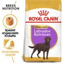 Royal Canin Labrador Retriever Adult Sterilised