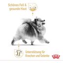 Royal Canin Pomeranian Adult Mousse 12x85g - 1.020 g
