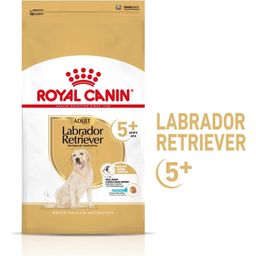 Royal Canin Labrador Retriever Adult 5+ - 12 kg