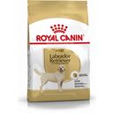 Royal Canin Pasja hrana Labrador Retriever Adult - 3 kg