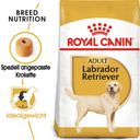 Royal Canin Pasja hrana Labrador Retriever Adult