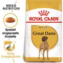 Royal Canin Pasja hrana Great Dane Adult - 12 kg
