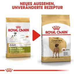 Royal Canin Pasja hrana Great Dane Adult - 12 kg