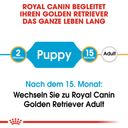 Royal Canin Pasja hrana Golden Retriever Puppy - 12 kg