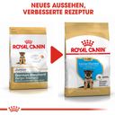 Royal Canin German Shepherd Puppy - 12 kg