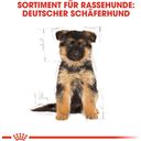 Royal Canin German Shepherd Puppy - 12 kg