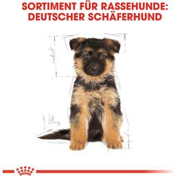 Royal Canin German Shepherd Puppy - 12 kg